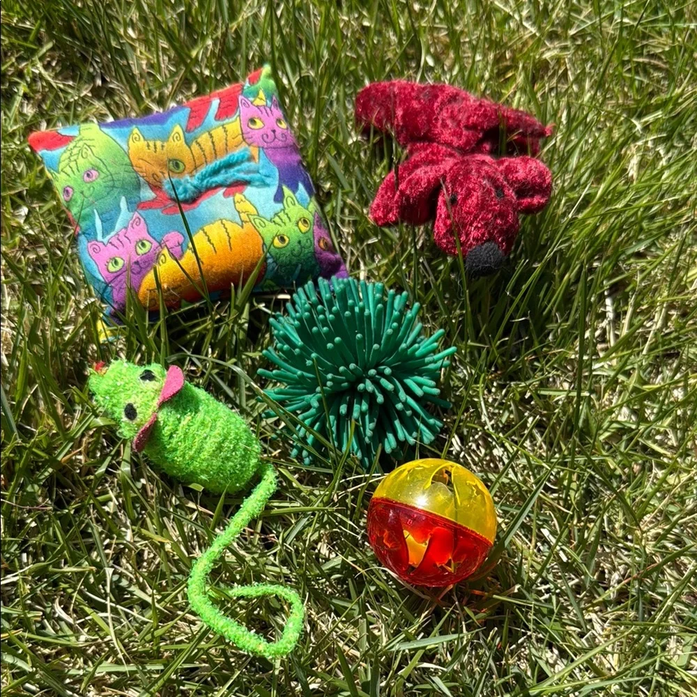 Colorful Cat Toy Set